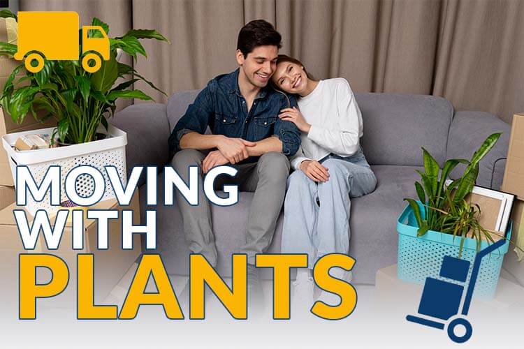 couple ready to move with packed boxes and plants on a couch, article cover graphic