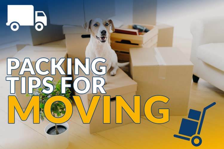 dog sitting on packed boxes ready for a move, article cover graphic